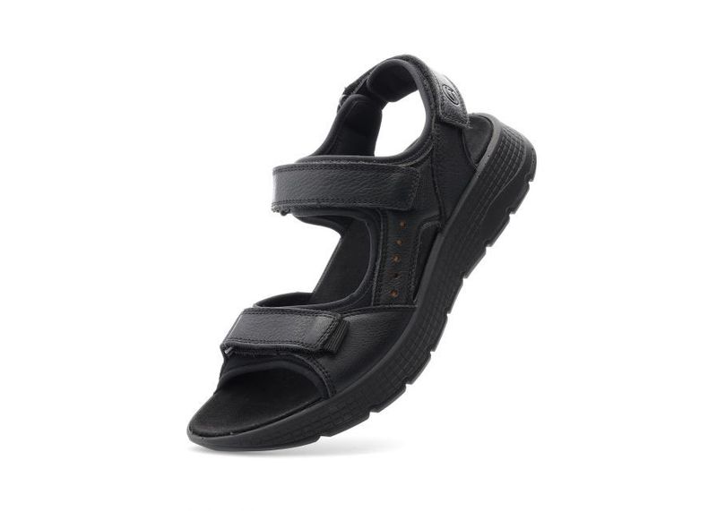 Ara Elio Black